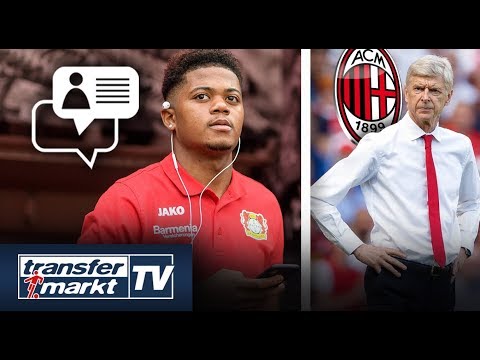 TM-User diskutieren über Bailey-Abgang – Wenger zu Milan? | TRANSFERMARKT